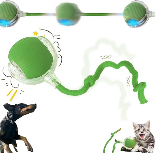 Interactive Cat Toys Ball for Indoor Cats